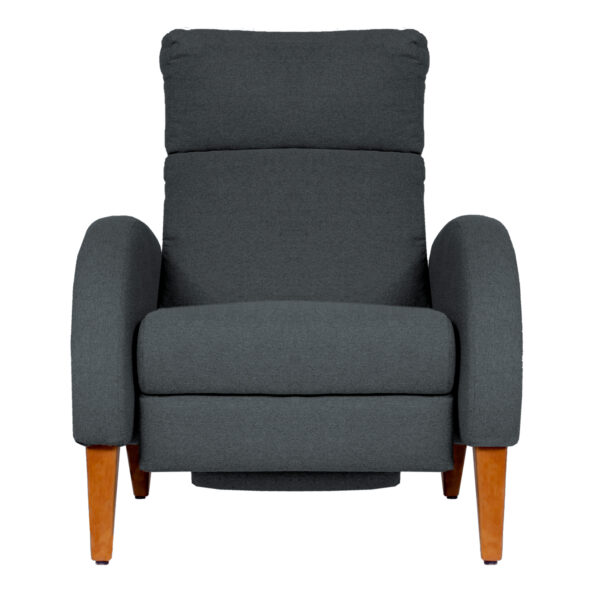Sillón Reclinable Modelo SR-210.5 FRENTE