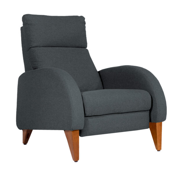 Sillón Reclinable Modelo SR-210.5 PERSP